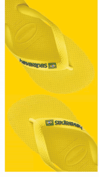 Havaianas Brasil Logo